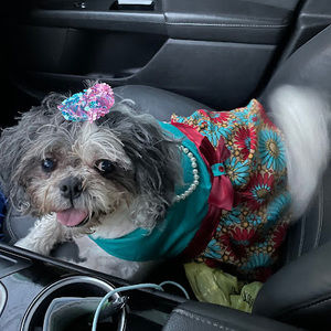 Meet your Posher, Tracy